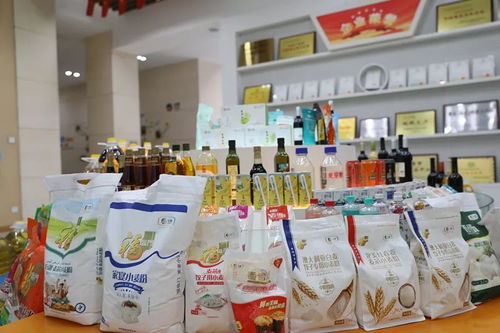 新津縣委書記調(diào)研企業(yè)疫情防控工作,鼓勵(lì)企業(yè)化危為機(jī),服務(wù)社會(huì)